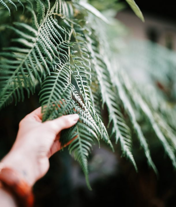 Inspiration jardin et végétal – Gaudy Création